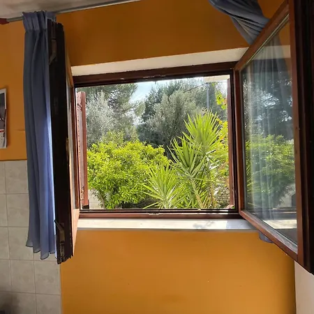 Zlato 70m From Beach! *